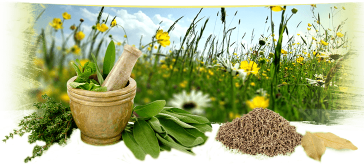 Ekologicze herbaty i zioła